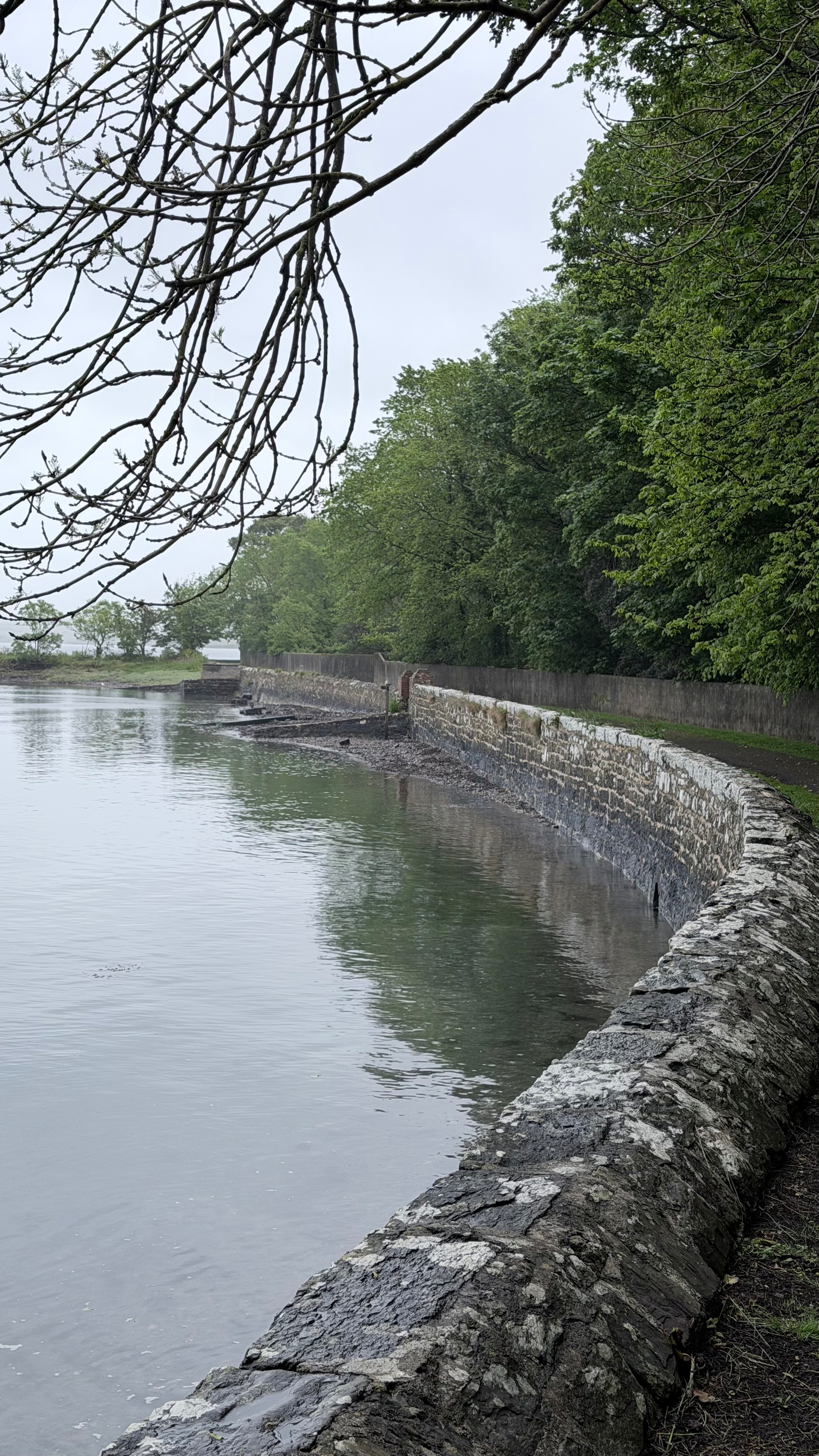 A serene waterfront scene features a curved stone wall, calm water, and lush green trees under an overcast sky.