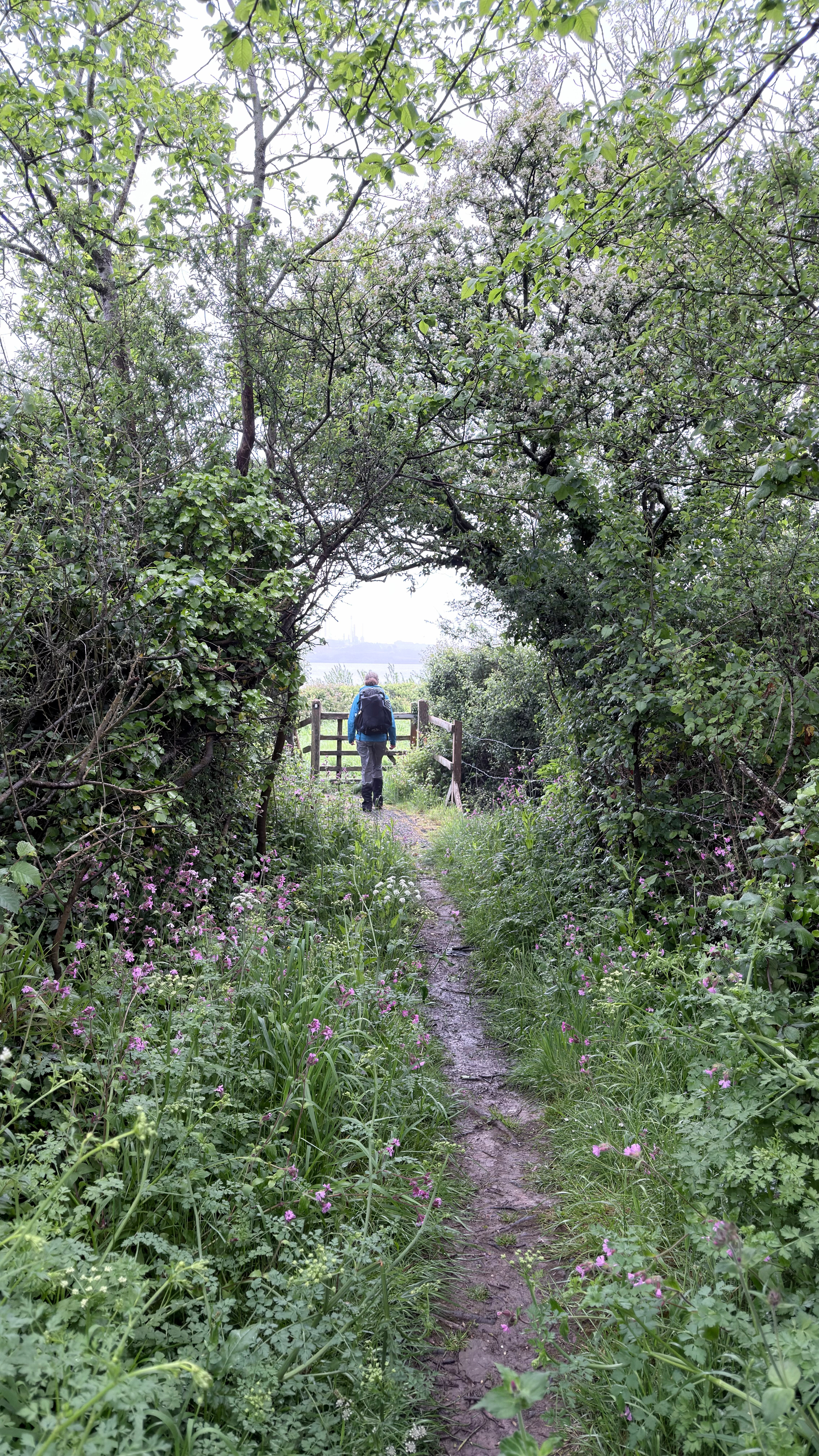 A person is walking along a narrow, flower-lined path through a green, wooded area toward a gate.