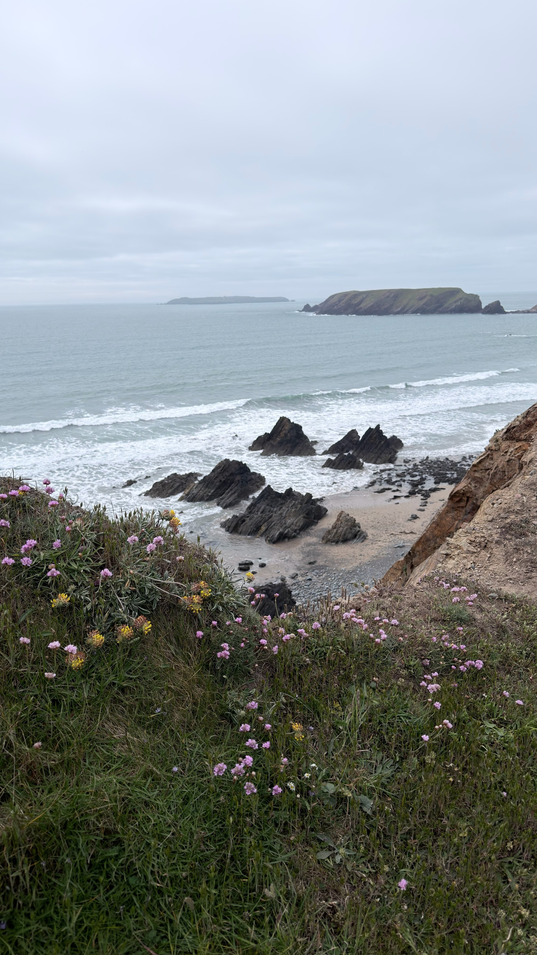 A scenic coastal view features rocky formations by the sea, with wildflowers in the foreground and an overcast sky.