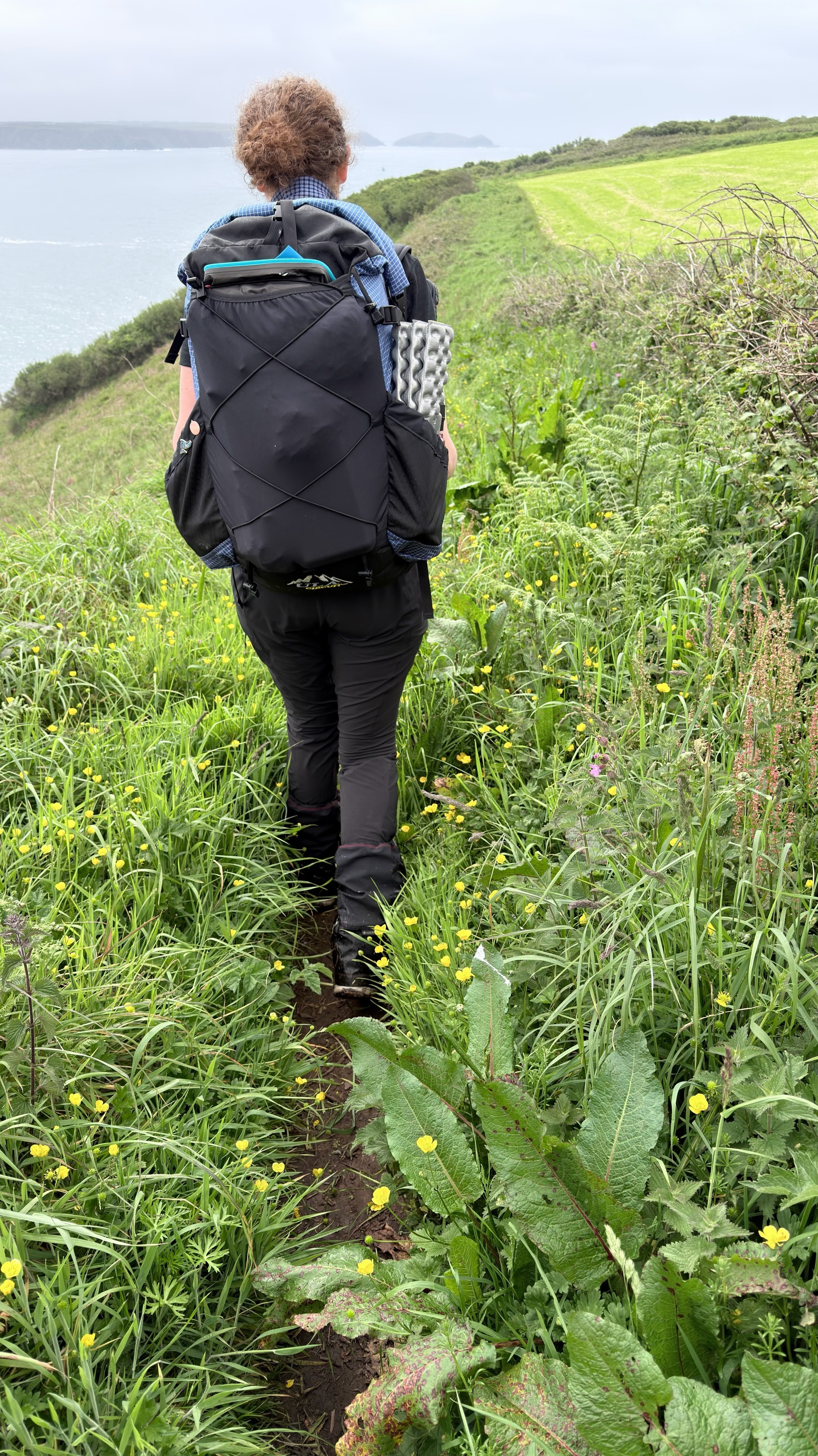 A person with a large backpack hikes along a narrow, flower-lined grassy trail near the edge of a body of water.