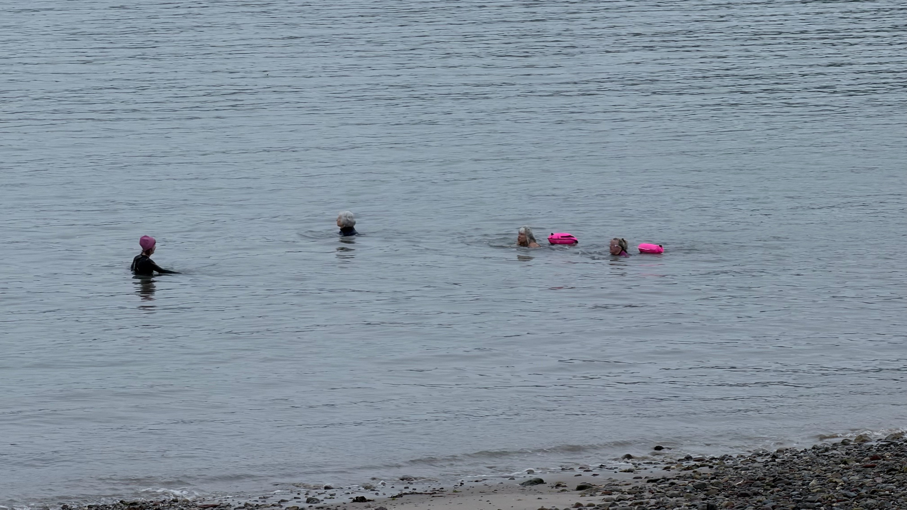 Four people are swimming in the water near a pebbly beach, with some wearing pink swim caps.