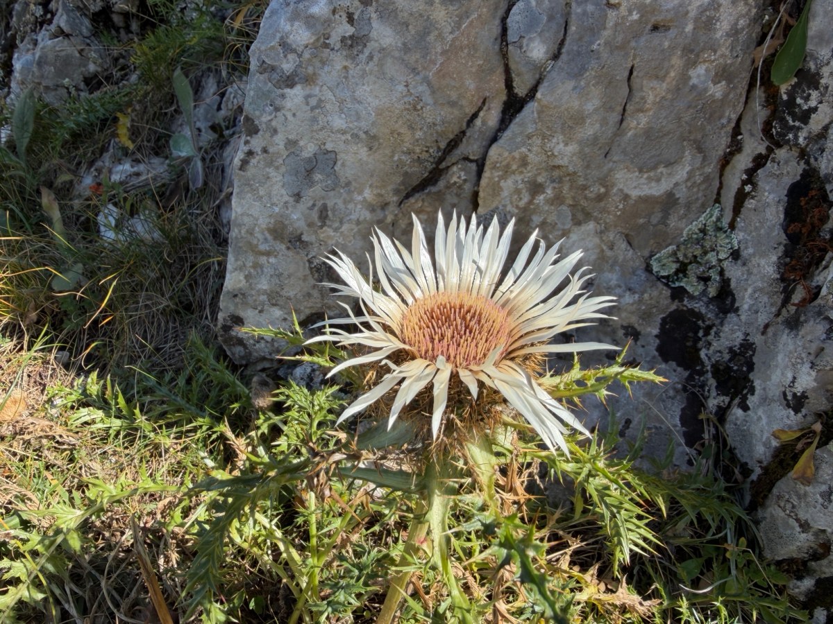 POB – Valbona nach&nbsp;Cerem