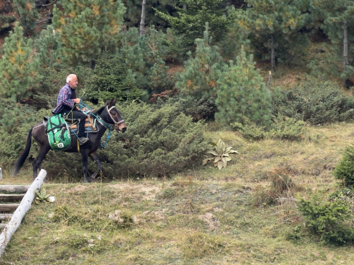 POB – Pausentag in&nbsp;Milishevc